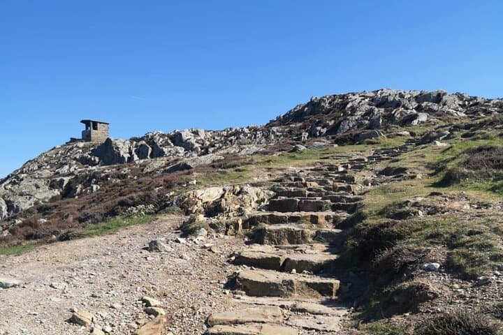 South Stack Coastal Walk — Guided Anglesey Hike with Café Stop & Maritime History photo 4