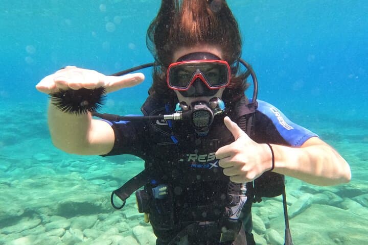 Discover Scuba Diving in Heraklion — Beginner-Friendly Dives off Crete photo 3