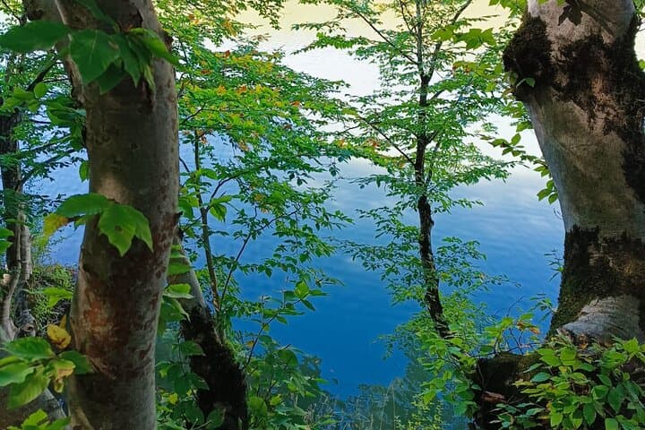 Lankaran Sea Fairy Tale: Waterfalls, Tea Plantations & Thermal Baths Day Tour photo 3