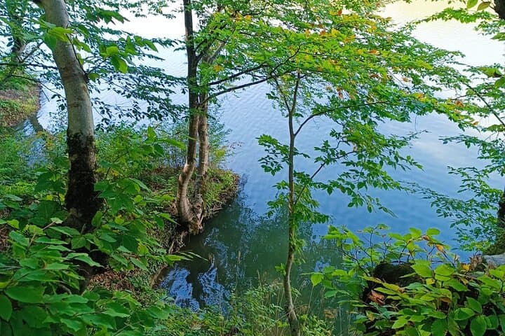 Lankaran Sea Fairy Tale: Waterfalls, Tea Plantations & Thermal Baths Day Tour photo 4