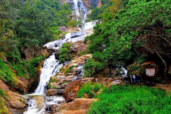 Yala Safari and Ella Day Trip: Leopard Safaris, Nine Arch Bridge & Little Adam's Peak photo 5