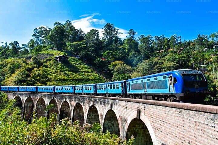 Yala Safari and Ella Day Trip: Leopard Safaris, Nine Arch Bridge & Little Adam's Peak photo 3