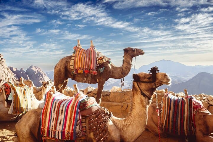 Self-Guided Riyadh App Tour: Explore Historic Souqs and Modern Landmarks