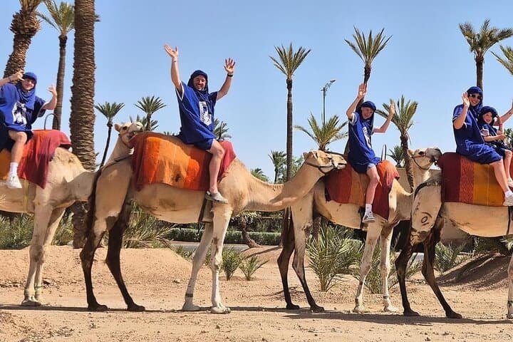 Half-Day-Quad-and-Camel-Ride-in-the-Palmeraie-Marrakech photo 3