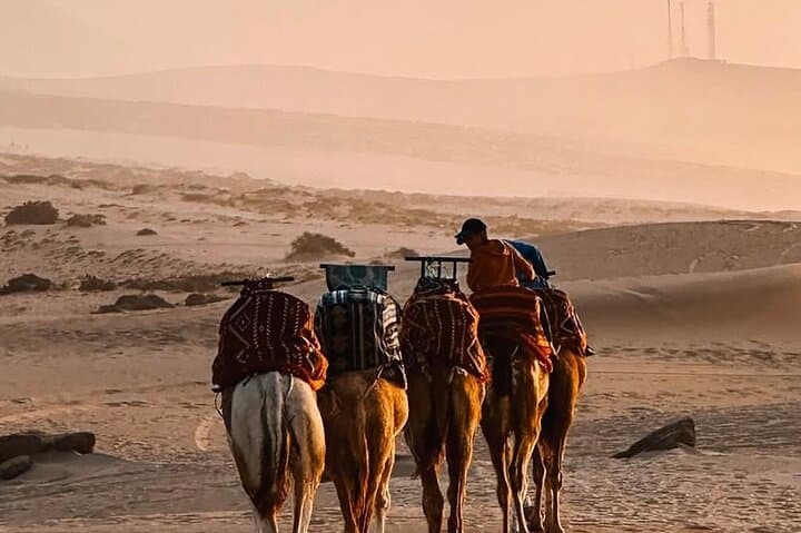 Timlalin Dunes Camel Ride: Sunset Trek with Mint Tea from Agadir photo 5