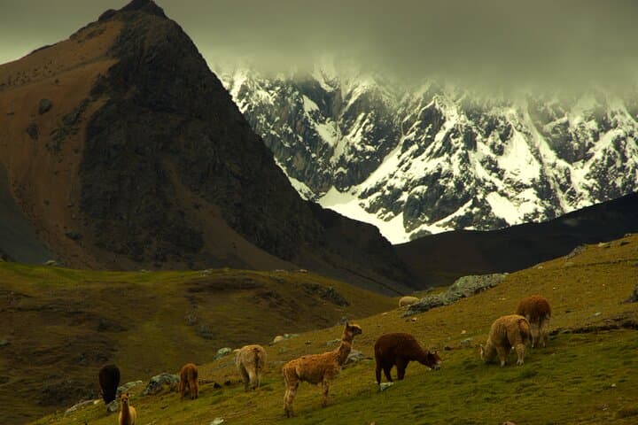 Private 12-Lagoon Ausangate Trek: Full-Day High Andes Hike from Cusco photo 2