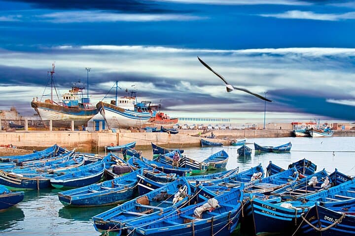 Day Trip to Essaouira from Marrakech: Full-Day Coastal Tour Guide photo 4