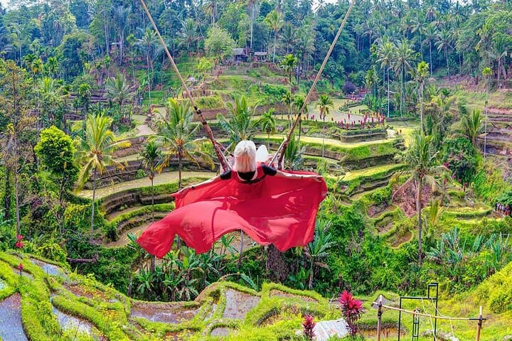 Ubud Day Tour: Monkey Forest, Tegalalang Rice Terrace, Tirta Empul & Tegenungan Waterfall photo 4