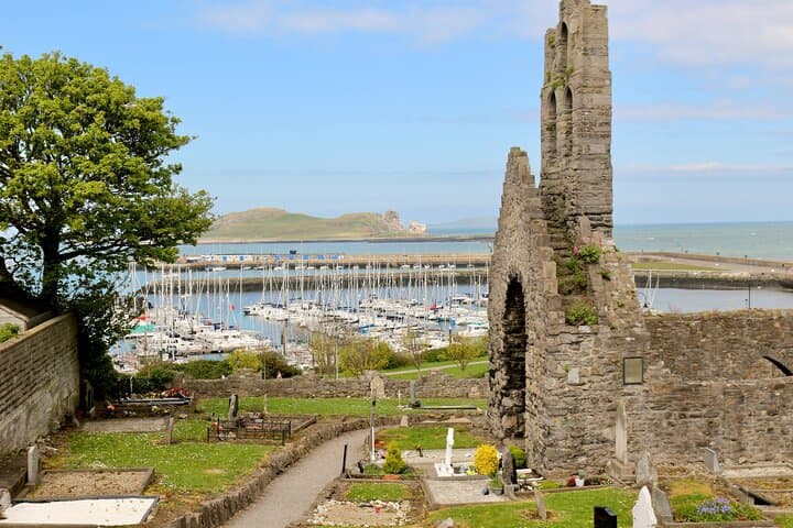 Howth Harbour Walk and Ireland's Eye Coastal Cruise — Private Combo Tour photo 5