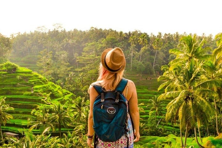 Ubud Day Tour: Monkey Forest, Tegalalang Rice Terrace, Tirta Empul & Tegenungan Waterfall