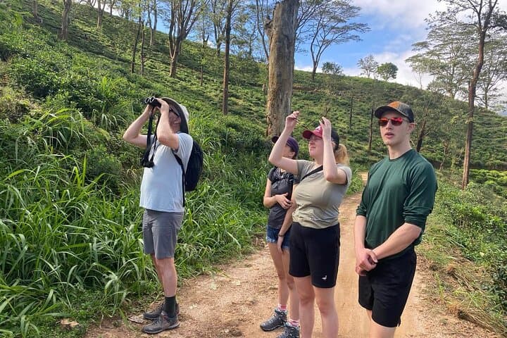 Pekoe Trail Stage 1 — Hanthana to Galaha Scenic Trek through Tea Country photo 3