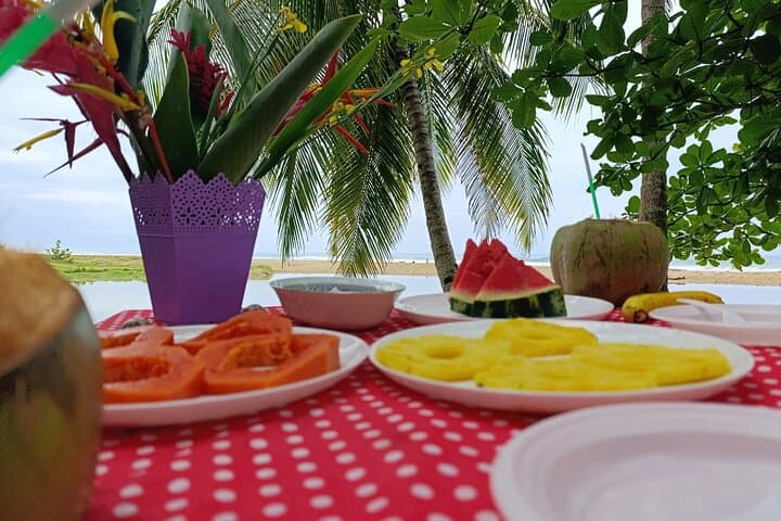 Punta Uva Kayak Wildlife Tour — Paddle with Sloths, Turtles & Fresh Tropical Fruit photo 3