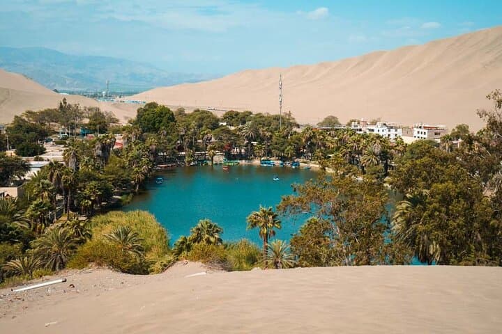 Ballestas Islands & Huacachina Day Trip: Boat Wildlife, Pisco Tasting & Dune Buggies from Lima photo 2