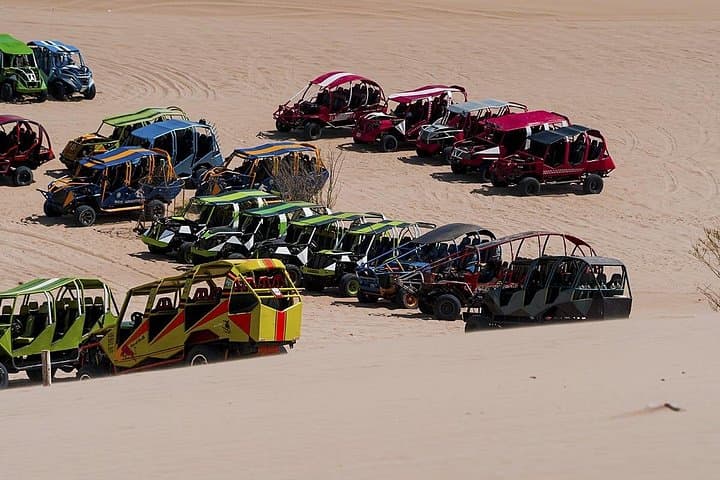 Ballestas Islands, Pisco Tasting and Huacachina Dune Buggies: Day Trip from Lima photo 5