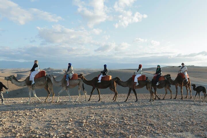 Agafay Desert Sunset Camel Ride & Berber Dinner from Marrakech