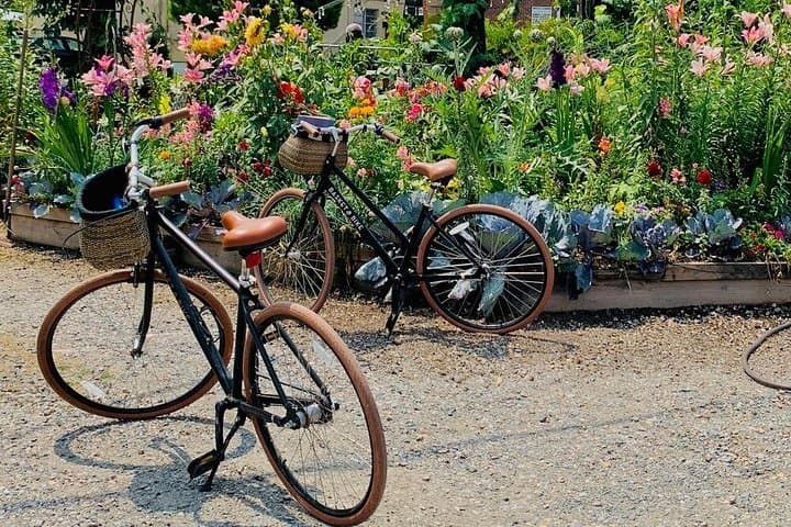 Richmond Art & Secret Garden Bike Tour — Jackson Ward to VMFA photo 1