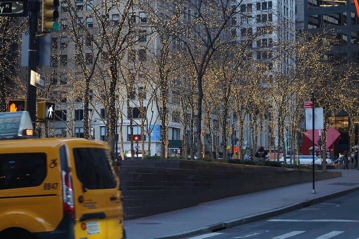 Private New York Downtown Highlights Half-Day Walking Tour photo 4