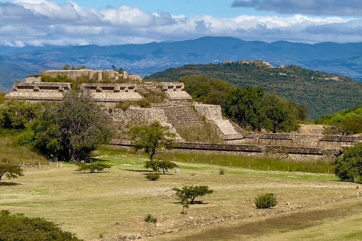 Full-Day Monte Albán, Tule Tree & Teotitlán Mezcal Tour from Oaxaca photo 3