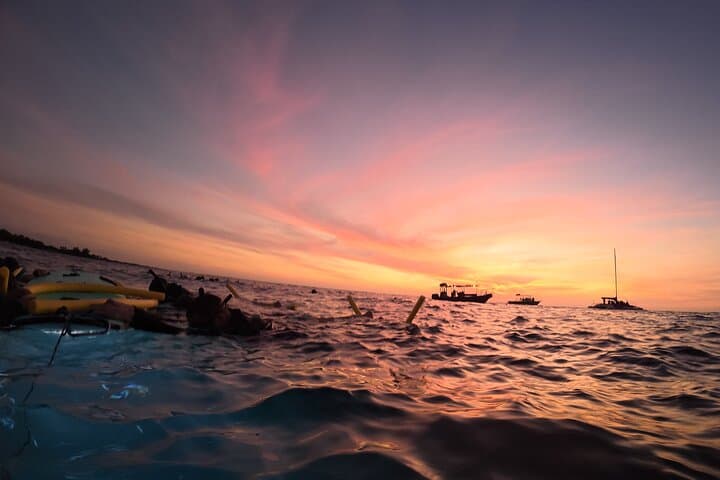 Kona Night Manta Ray Snorkel: Close-Up Ocean Encounters with Free Videos photo 3