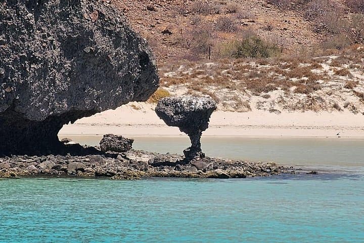 Private Balandra Bay Snorkeling Cruise with Sea Lions from La Paz photo 2