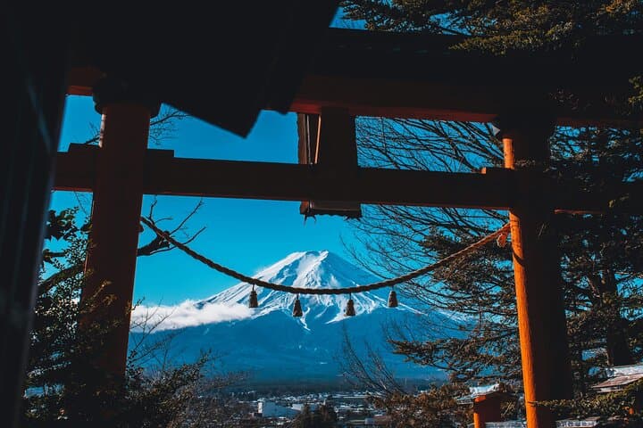 Private Mt Fuji & Hakone Retreat — Luxury Day Tour from Tokyo photo 5