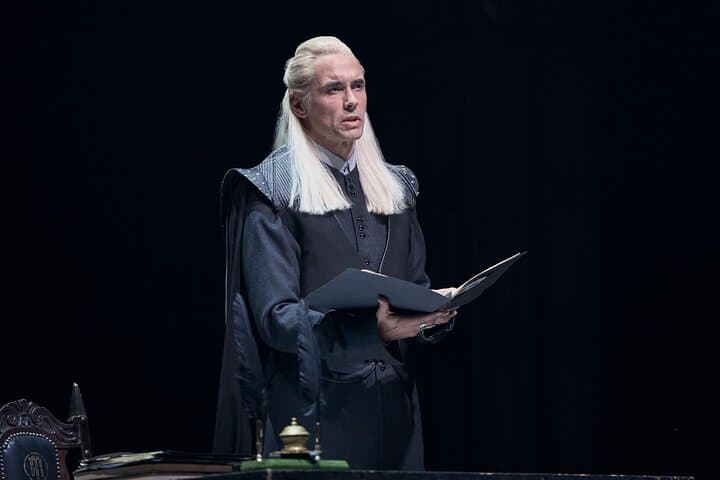 Harry Potter and the Cursed Child at Palace Theatre: West End Guide & Visitor Tips photo 6