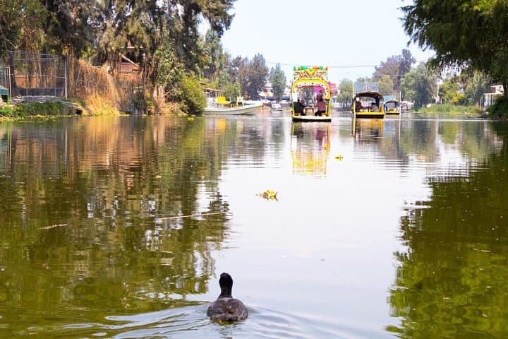 Hidden Canals of Tláhuac: Quiet Trajinera Tours Beyond Xochimilco photo 2