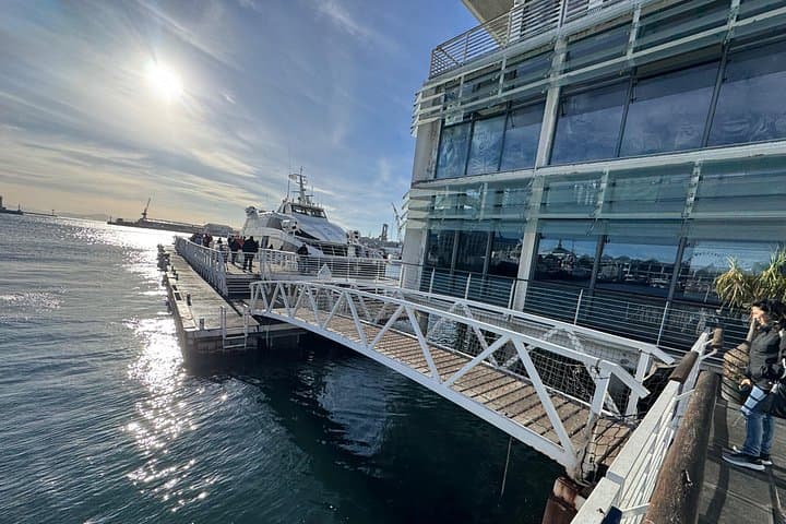 Robben Island Day Tour from Cape Town — Pre-Booked Tickets & Transfers photo 4