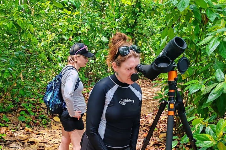 Discover Cahuita National Park: Guided Coastal Walk & Wildlife Viewing in Costa Rica photo 1