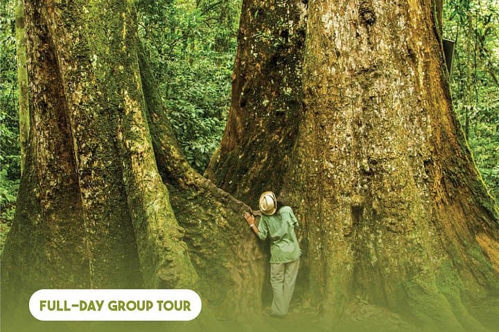 Cuc Phuong National Park Eco-Adventure: Day Trek, Primate Rescue & Cave of Early Man from Hanoi