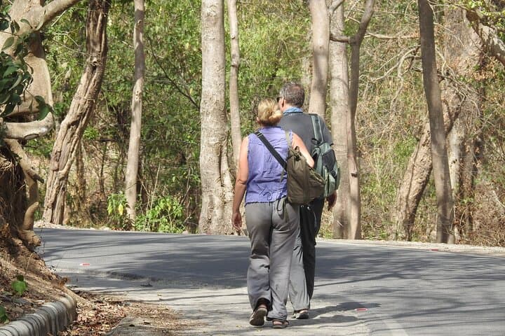 Rishikesh Guided Walk: Ram Jhula, Beatles Ashram & Meditation Caves photo 4