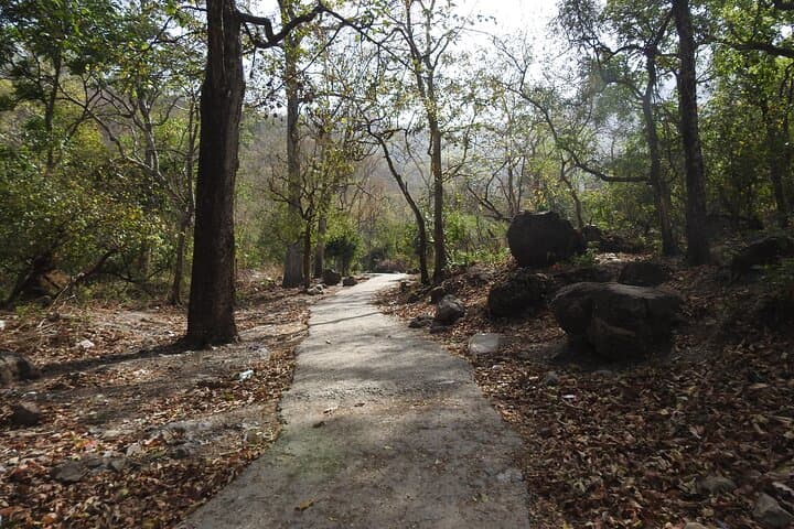 Rishikesh Guided Walk: Ram Jhula, Beatles Ashram & Meditation Caves photo 5