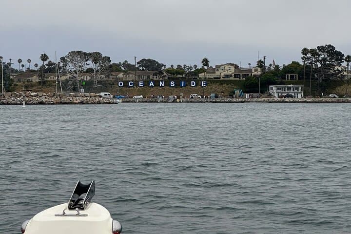 Oceanside Open-Boat Whale Watching: Small-Group Pacific Wildlife Cruise photo 5
