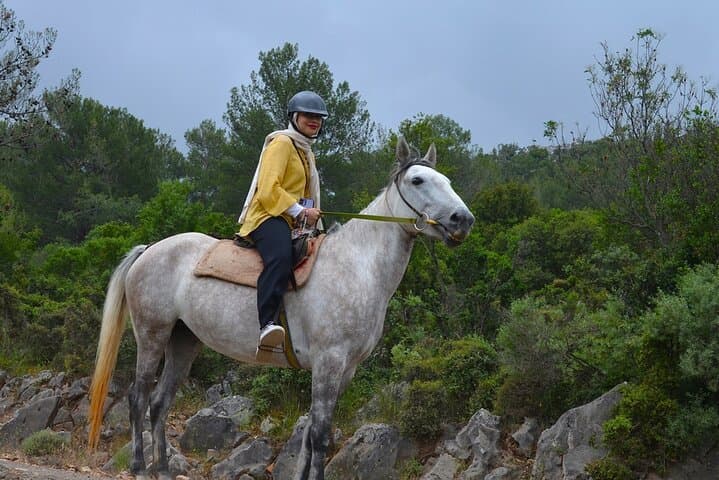 Horseback Riding in Oludeniz: Pine-Forest Trails & River Swim photo 5