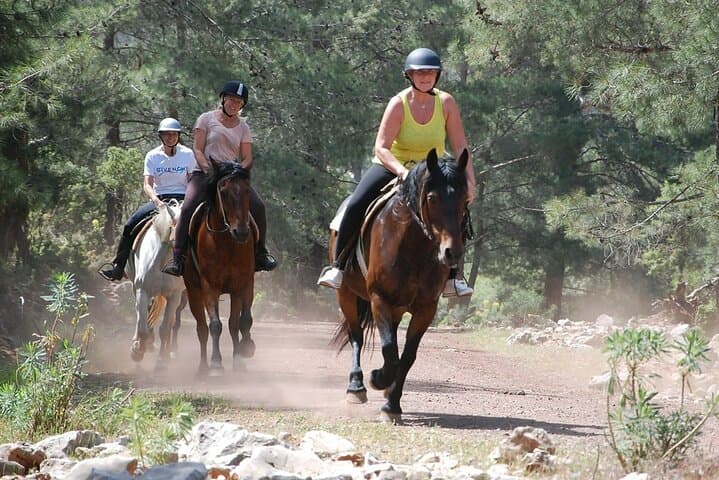 Horseback Riding in Oludeniz: Pine-Forest Trails & River Swim photo 6