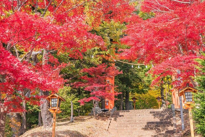 Mount Fuji Instagram Spots Day Trip: Chureito Pagoda, Oshino Hakkai & Oishi Park photo 2