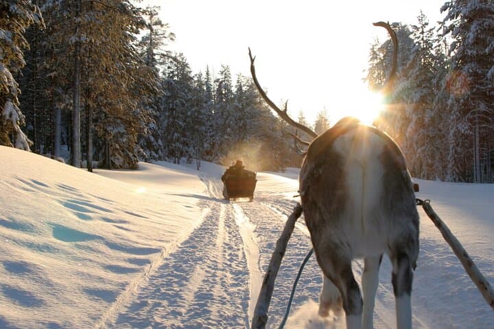 One-Day Husky, Reindeer & Ice Fishing Experience Near Rovaniemi