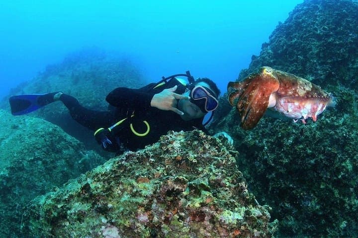 Nha Trang Scuba Diving: 2 Dives at Marine Park with Lunch Included photo 4