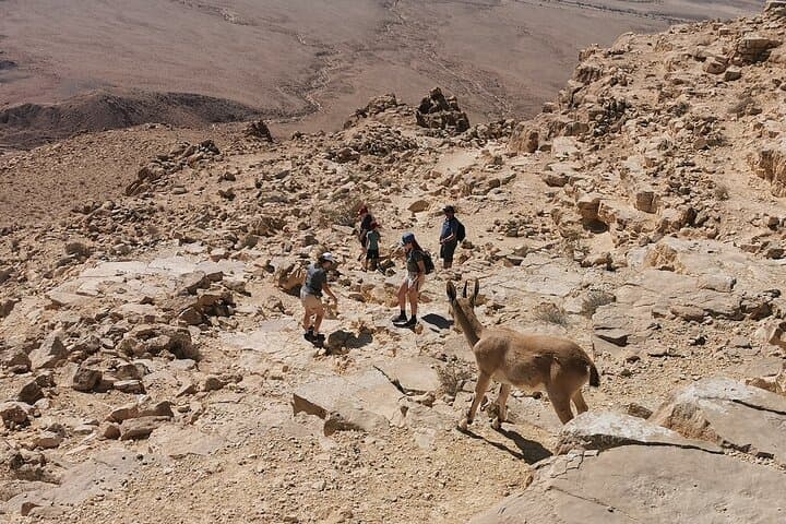 Ramon Crater Jeep Tour: 4x4 Adventure from Mitzpe Ramon photo 4