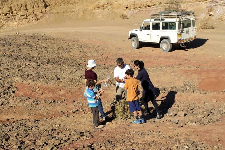 Ramon Crater Jeep Tour: 4x4 Adventure from Mitzpe Ramon photo 5