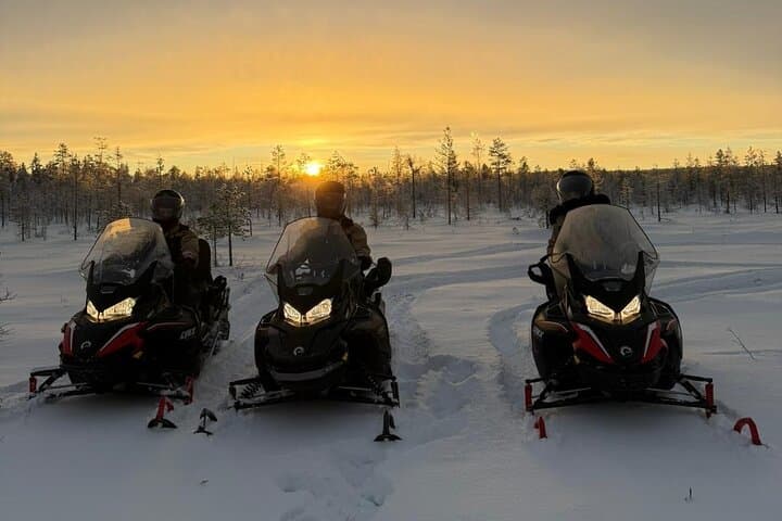 Lapland Husky, Reindeer and Snowmobile Day Experience in Rovaniemi