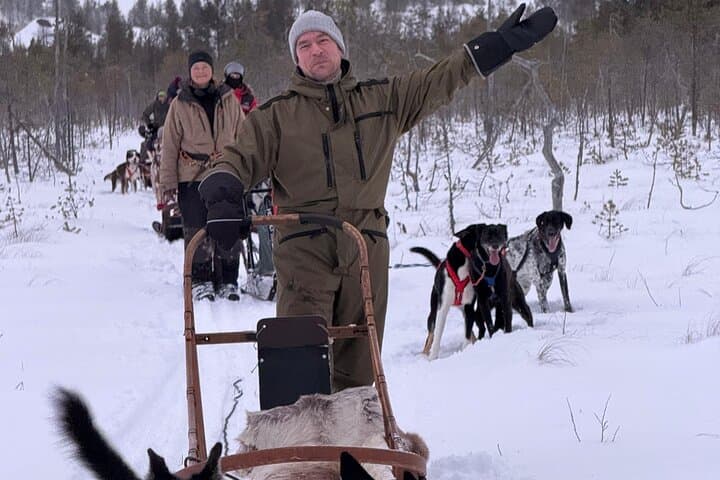 Lapland Husky, Reindeer and Snowmobile Day Experience in Rovaniemi photo 2