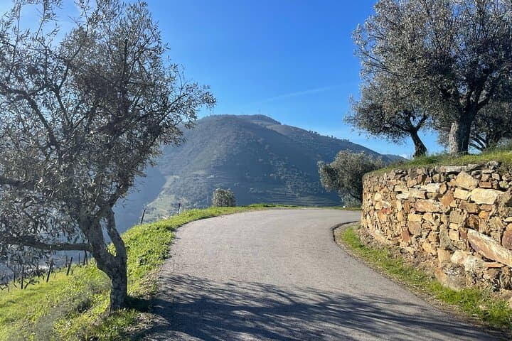 Kayak and Vineyards: Full-Day Douro Valley Adventure from Porto photo 4