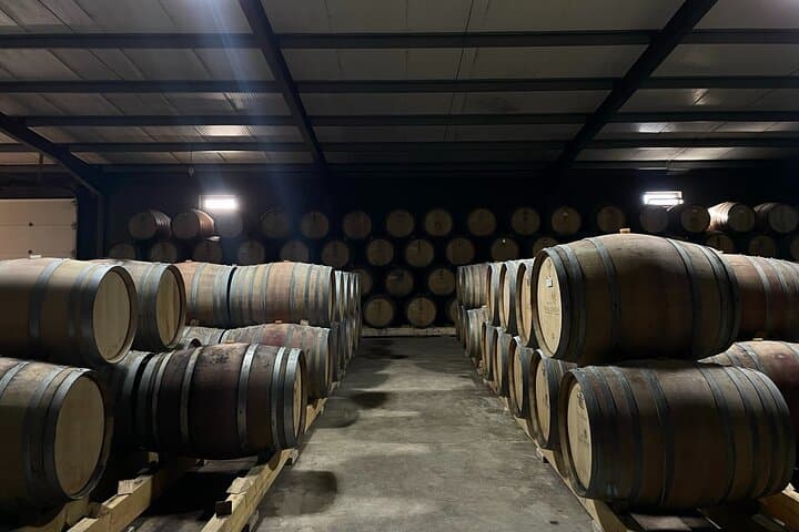 Kayak and Vineyards: Full-Day Douro Valley Adventure from Porto photo 6