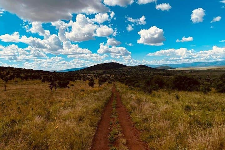 Akagera National Park Safari: Full-Day Wildlife & Birding from Kigali