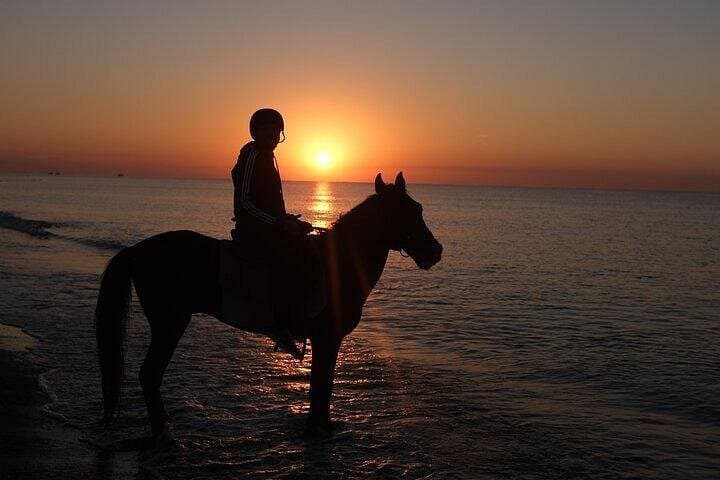 Sunset Horseback Riding on Antalya's Lara Beach — Guided Coastal Horse Ride photo 2
