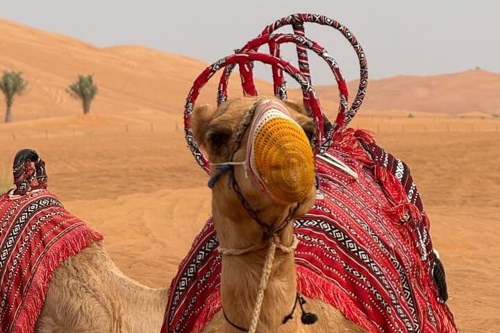 Lahbab Desert Safari: Dune Bashing, Sunset & BBQ in Dubai photo 4