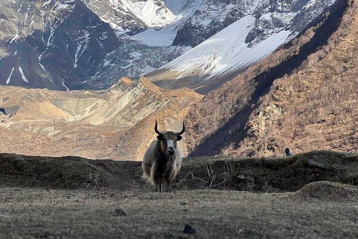 Manaslu Circuit Trek — Untouched Himalayan Journey in Nepal photo 3