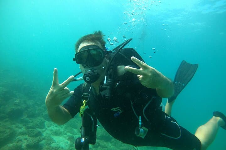 Fujairah Night Dive & Live BBQ: Bioluminescence, Hidden Reef Life, After-Dive Feast photo 6
