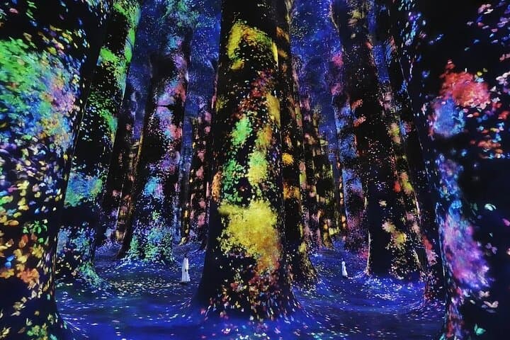 teamLab Phenomena Abu Dhabi — Immersive Digital Art on Saadiyat Island photo 4